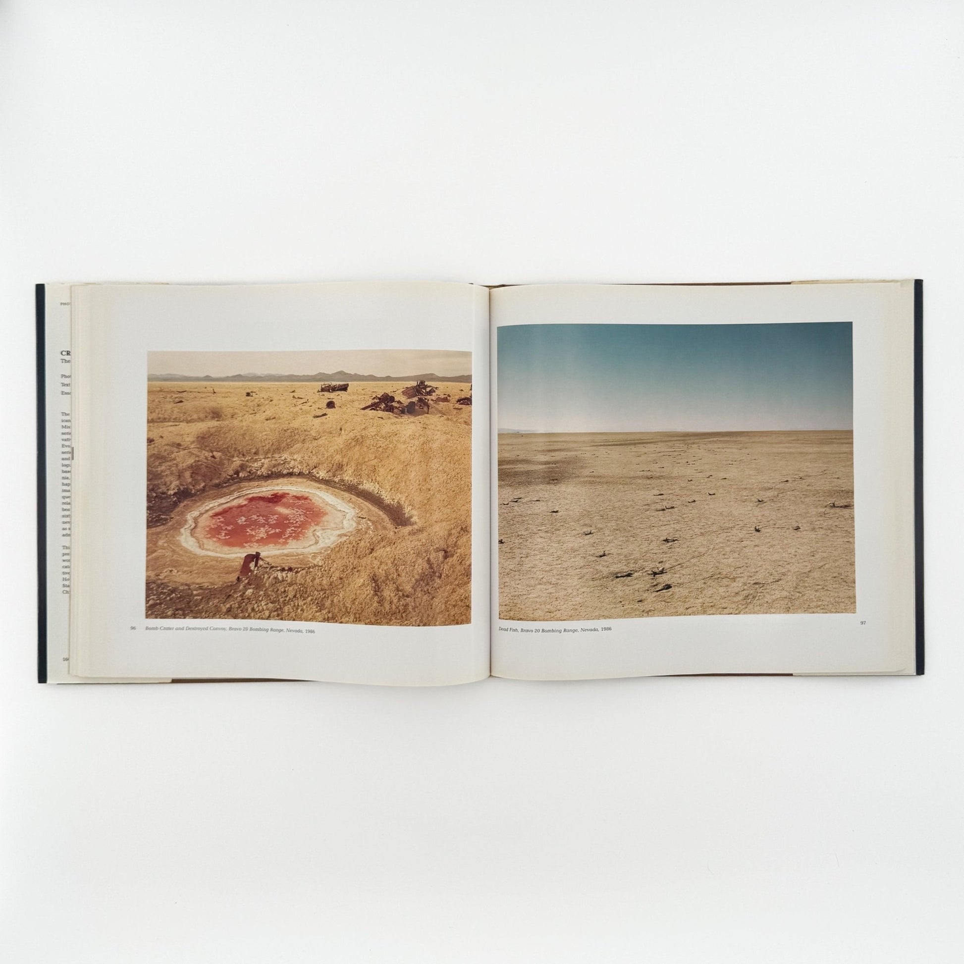 (英文)リチャード・ミズラック　Crimes and Splendors - Bulfinch - 文福