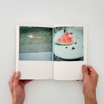 川内倫子　CUI CUI [キュイ キュイ] - フォイル - 文福