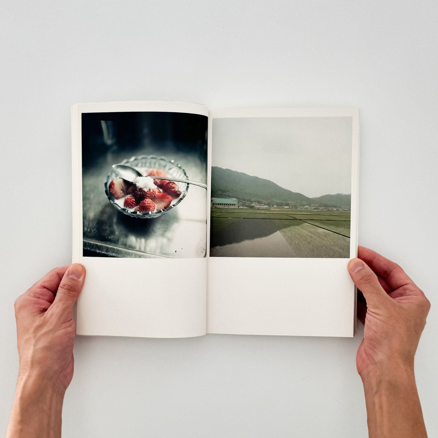 川内倫子　CUI CUI [キュイ キュイ] - フォイル - 文福