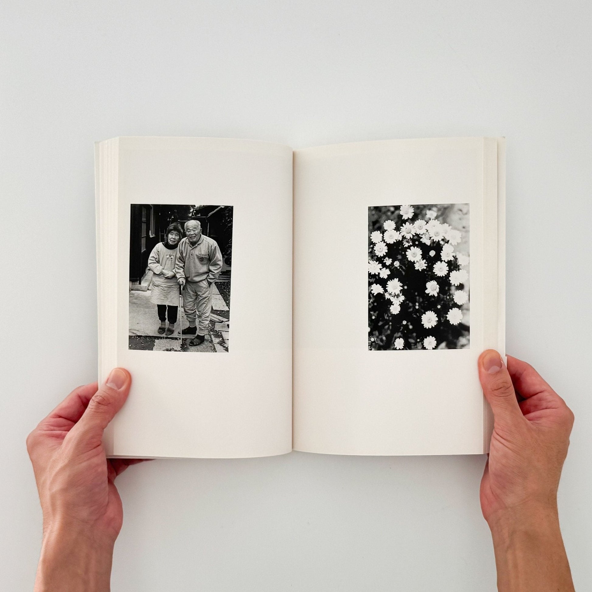 川内倫子　CUI CUI [キュイ キュイ] - フォイル - 文福