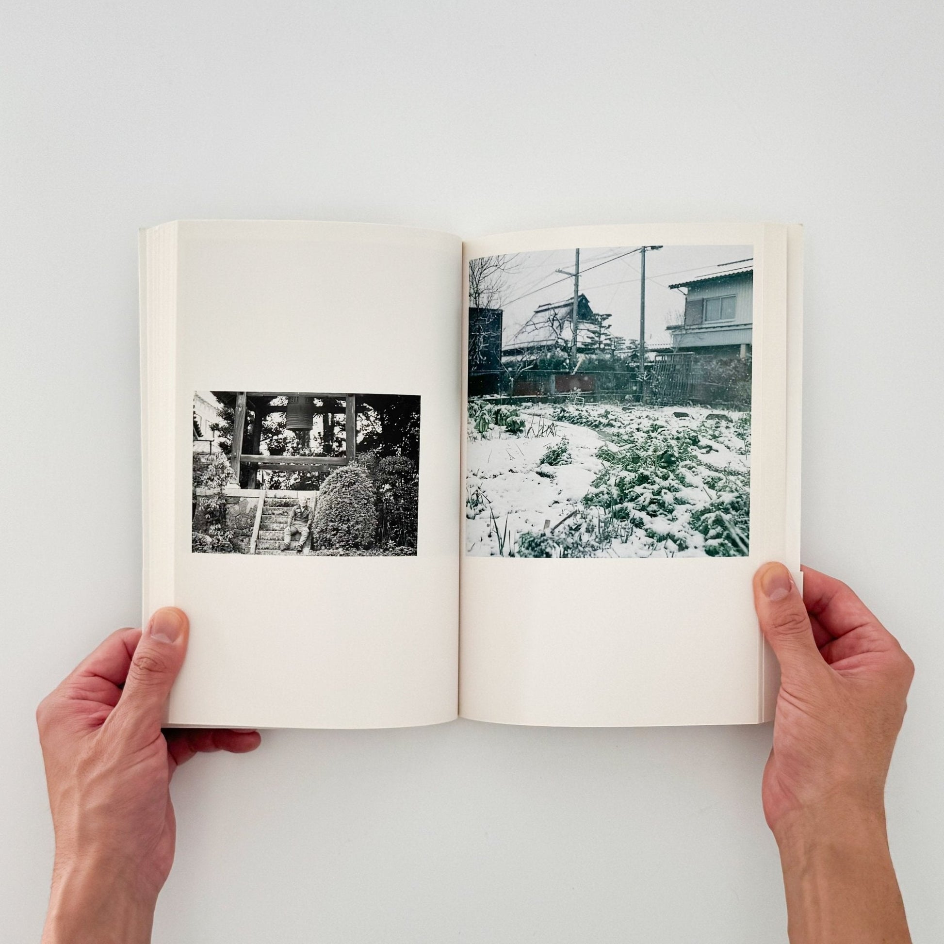 川内倫子　CUI CUI [キュイ キュイ] - フォイル - 文福