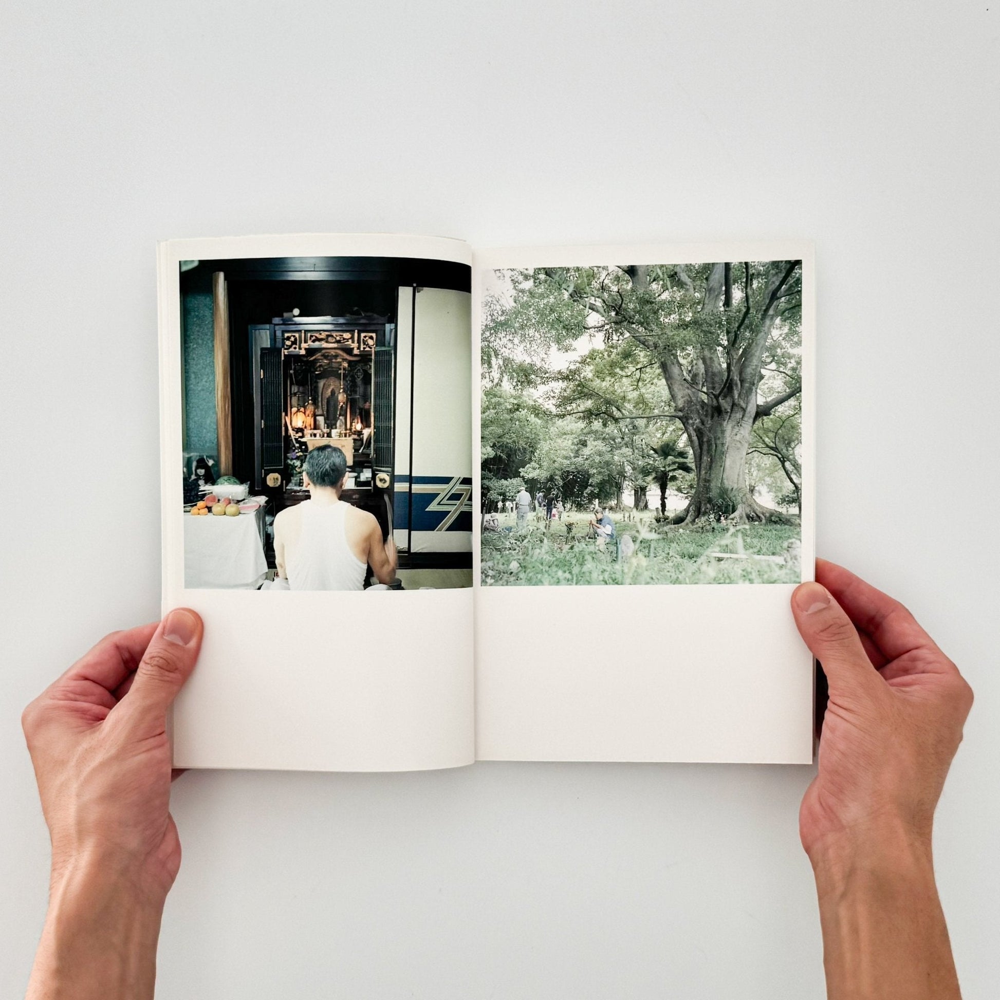 川内倫子　CUI CUI [キュイ キュイ] - フォイル - 文福