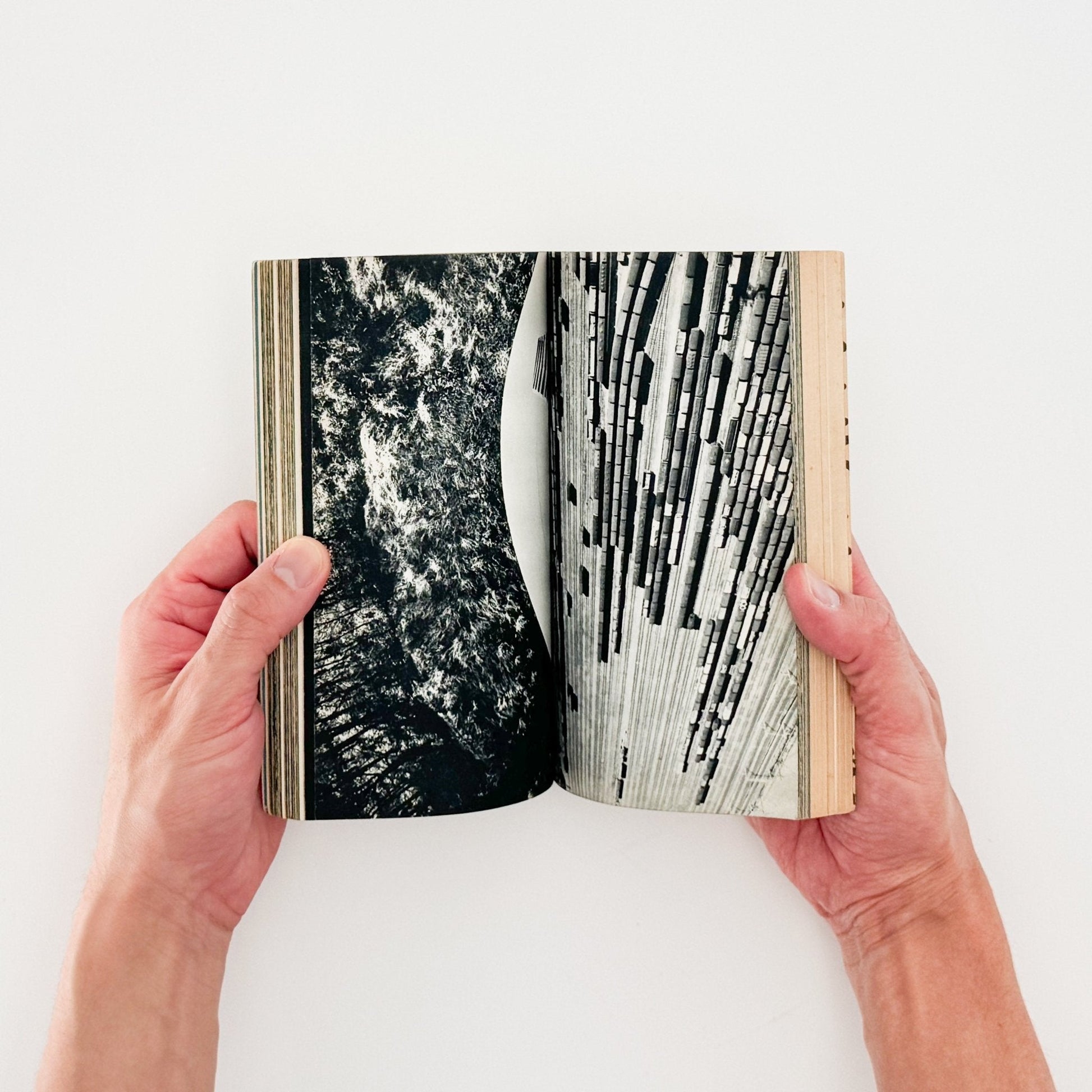 Here is JAPAN 2号 - 文福