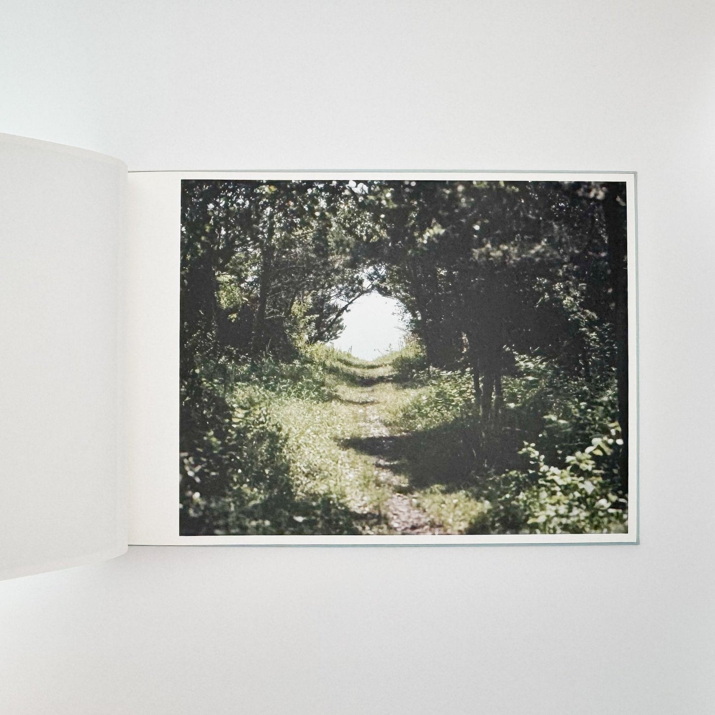 鈴木理策　海と山のあいだ Between the Sea and the Mountain – Kumano（サイン入り） - アマナサルト - 文福