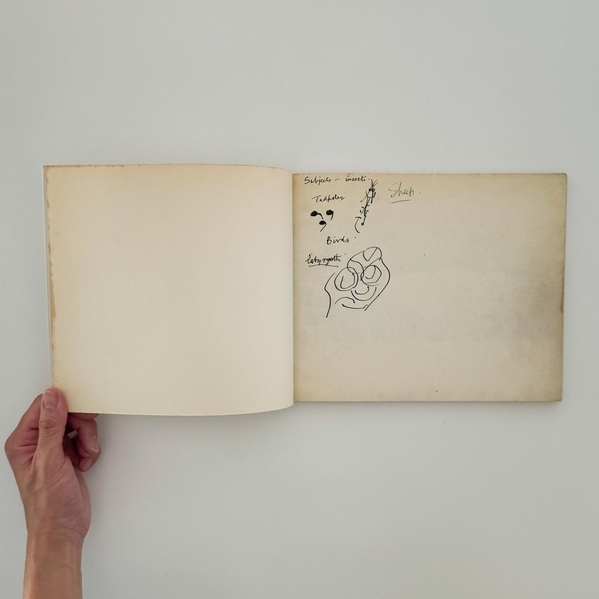 ヘンリー・ムーア　羊のスケッチブック Henry Moore's Sheep Sketchbook - THAMES AND HUDSON - 文福