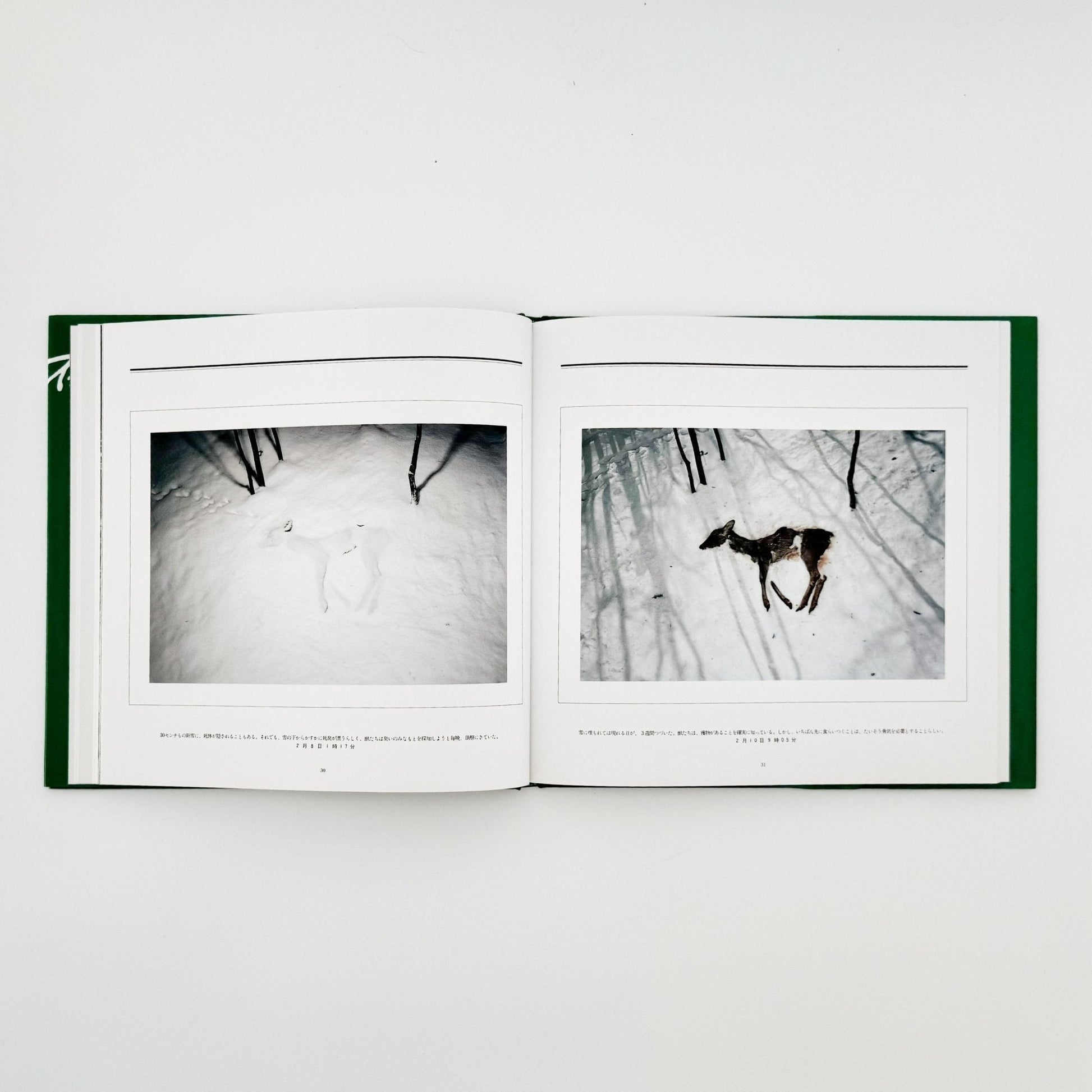 宮崎学　死　Death in Nature - 平凡社 - 文福