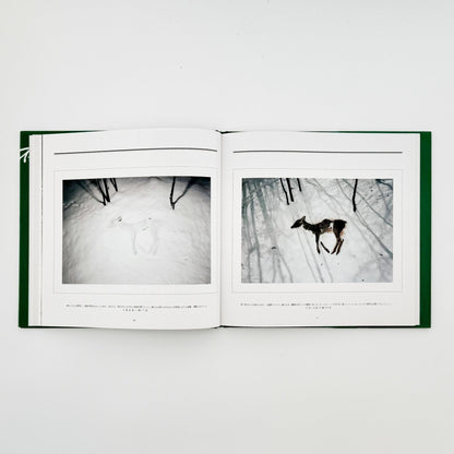 宮崎学　死　Death in Nature - 平凡社 - 文福