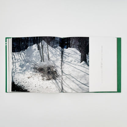 宮崎学　死　Death in Nature - 平凡社 - 文福