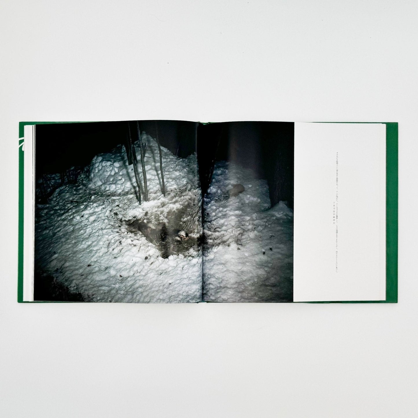 宮崎学　死　Death in Nature - 平凡社 - 文福