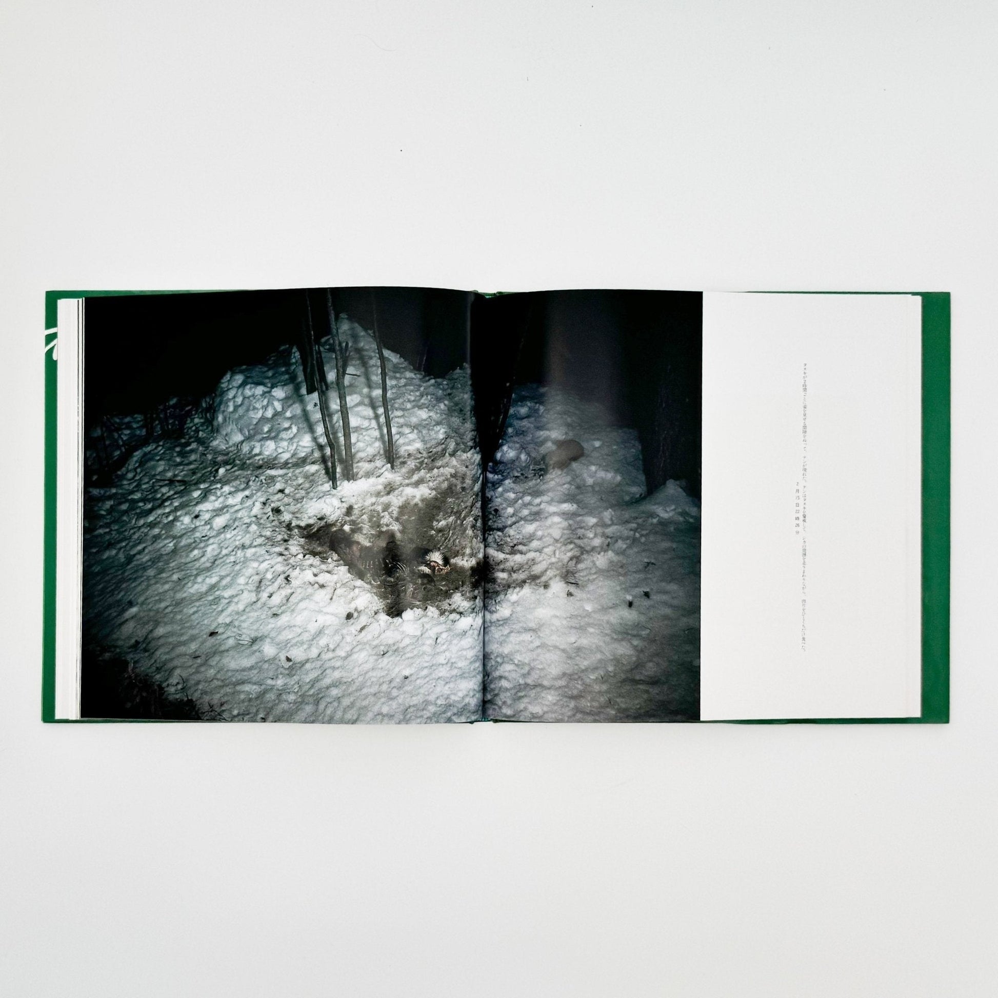 宮崎学　死　Death in Nature - 平凡社 - 文福