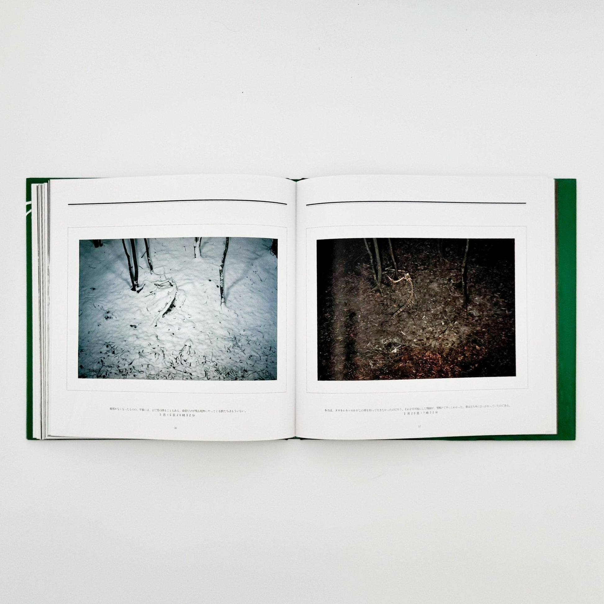 宮崎学　死　Death in Nature - 平凡社 - 文福