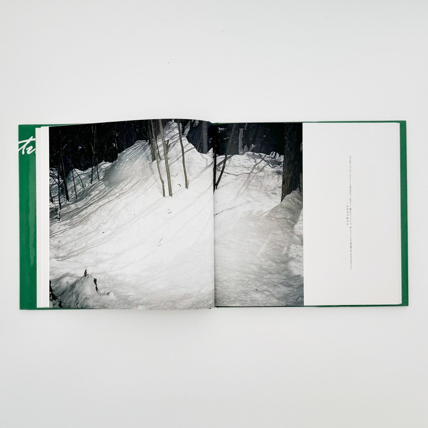 宮崎学　死　Death in Nature - 平凡社 - 文福