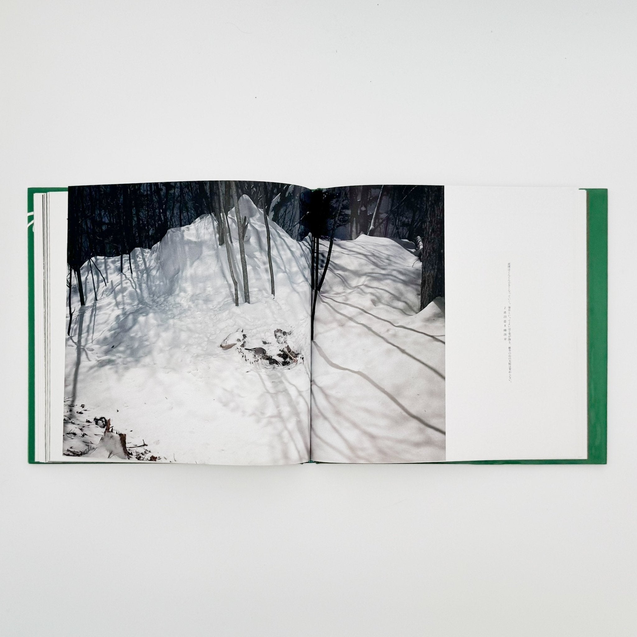Miyazaki Manabu Photo Book: Death in Nature / Heibonsha – 文福