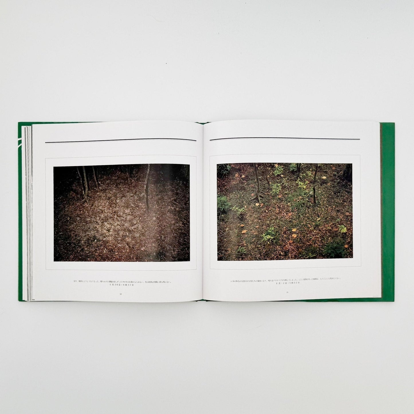 宮崎学　死　Death in Nature - 平凡社 - 文福