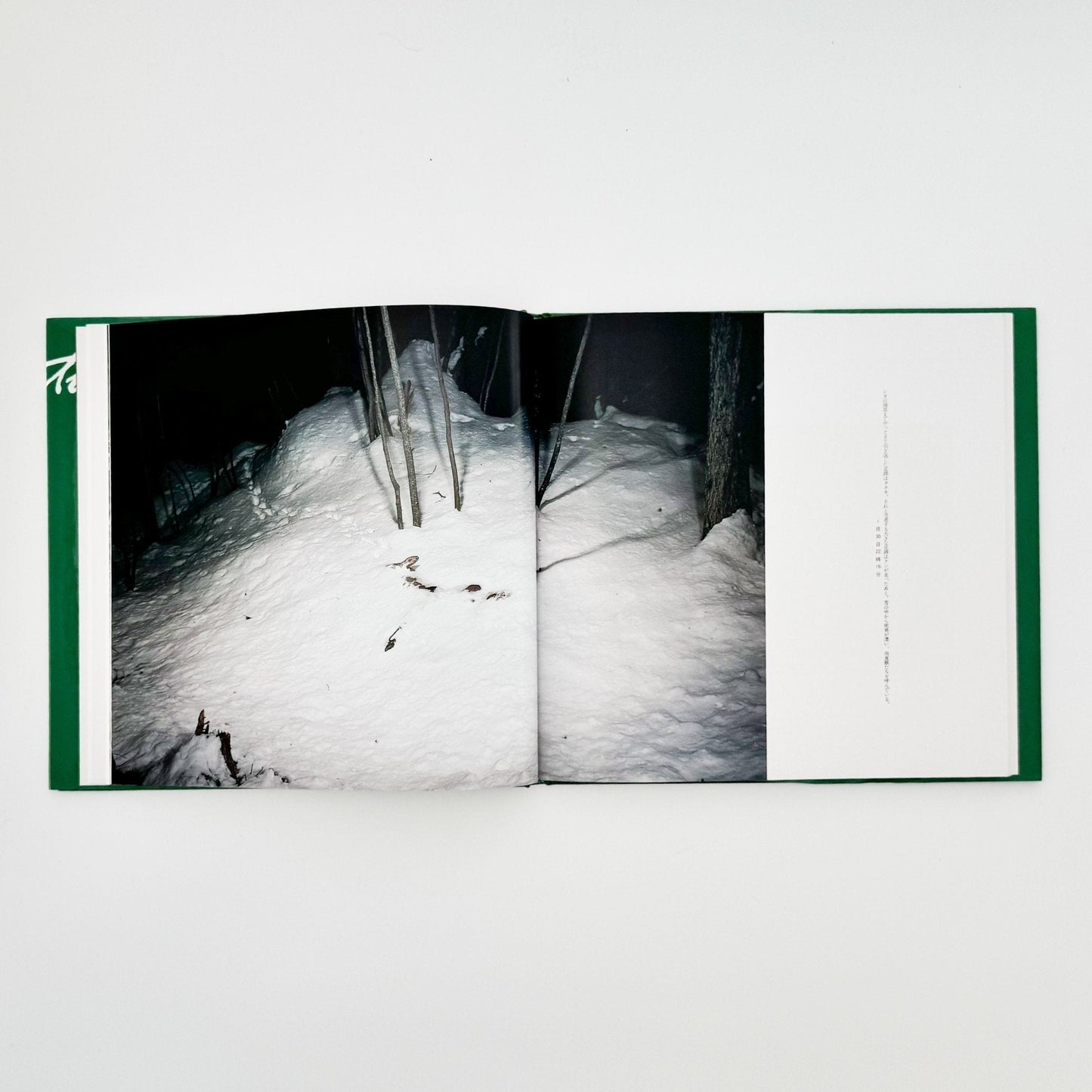 宮崎学　死　Death in Nature - 平凡社 - 文福