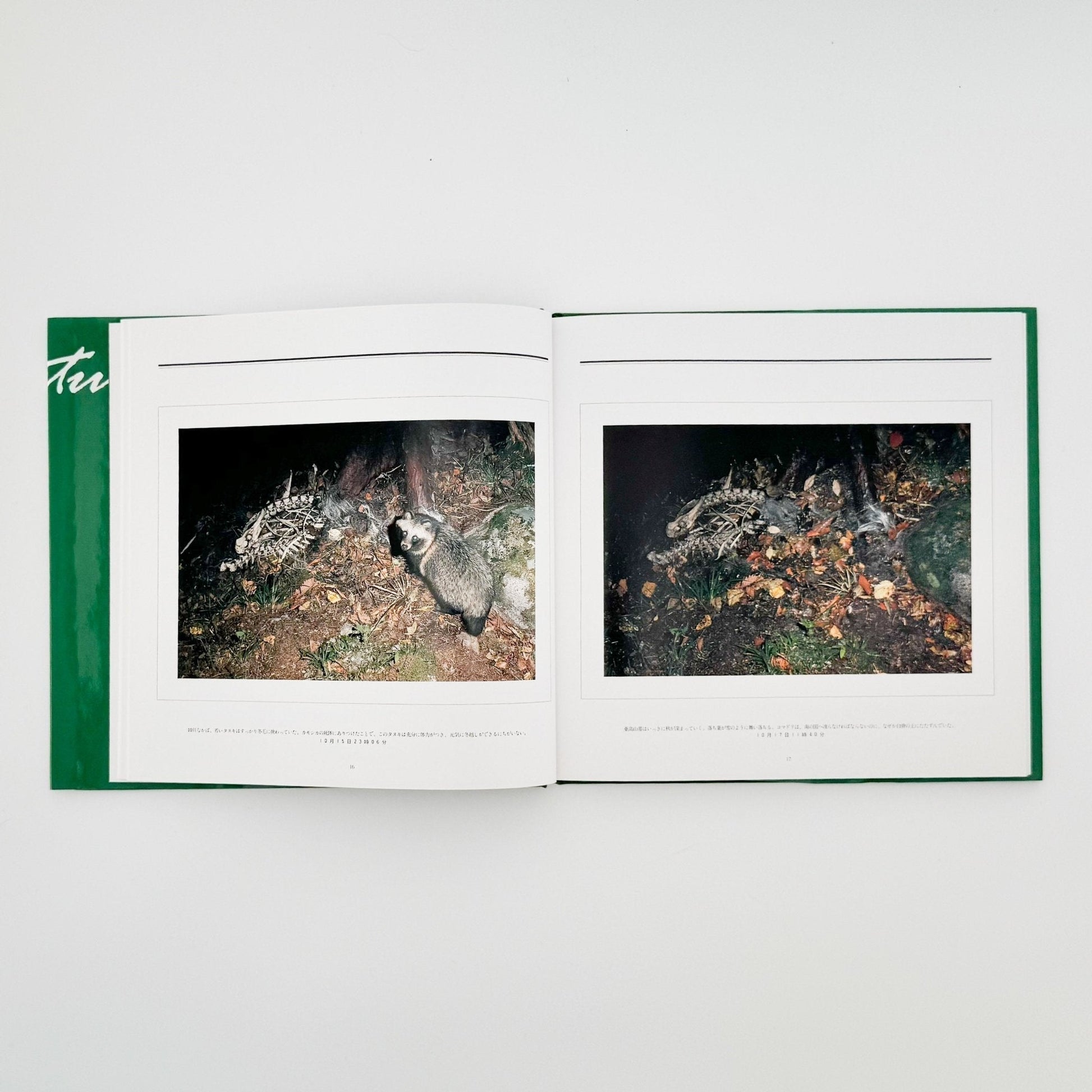 宮崎学　死　Death in Nature - 平凡社 - 文福