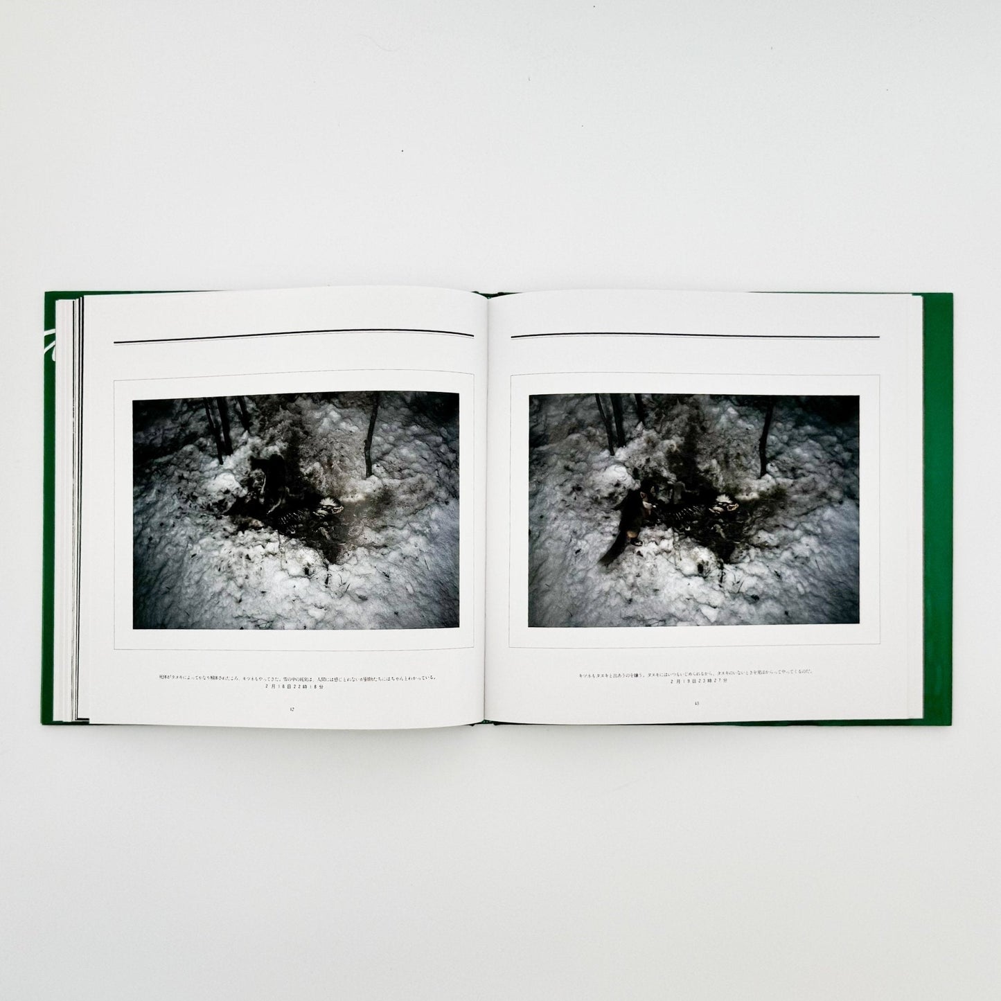 宮崎学　死　Death in Nature - 平凡社 - 文福