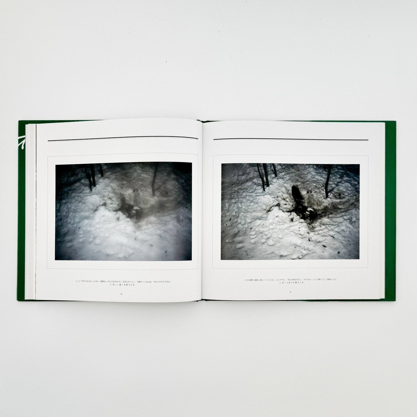 宮崎学　死　Death in Nature - 平凡社 - 文福