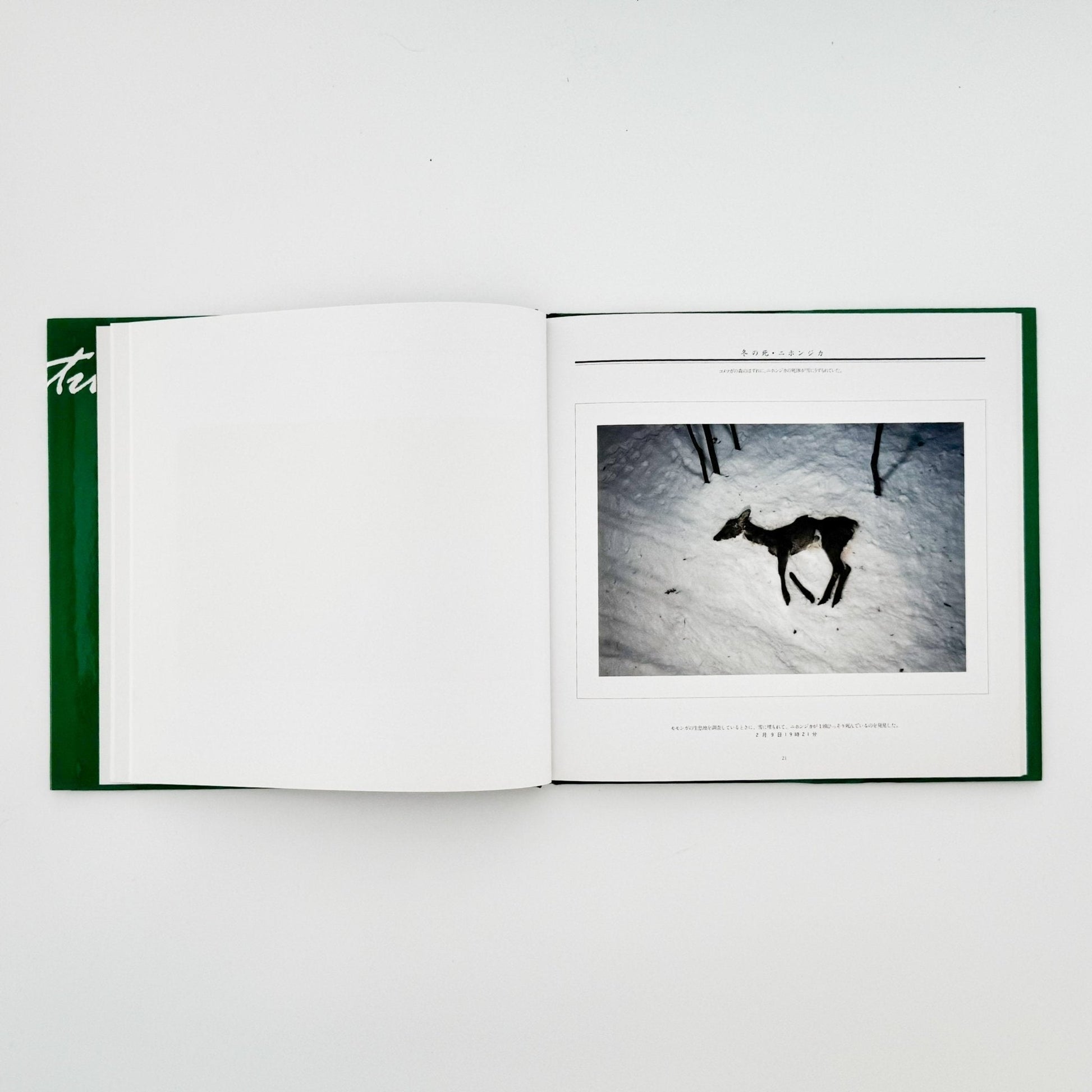 宮崎学　死　Death in Nature - 平凡社 - 文福