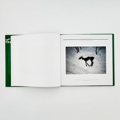 宮崎学　死　Death in Nature - 平凡社 - 文福