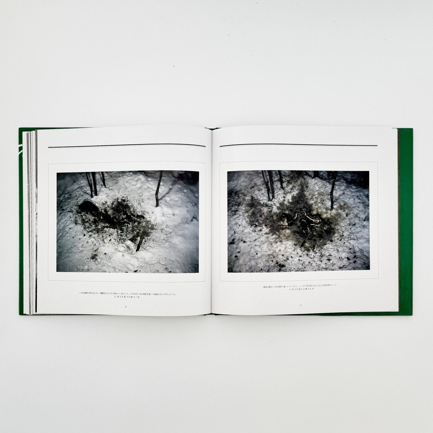 宮崎学　死　Death in Nature - 平凡社 - 文福