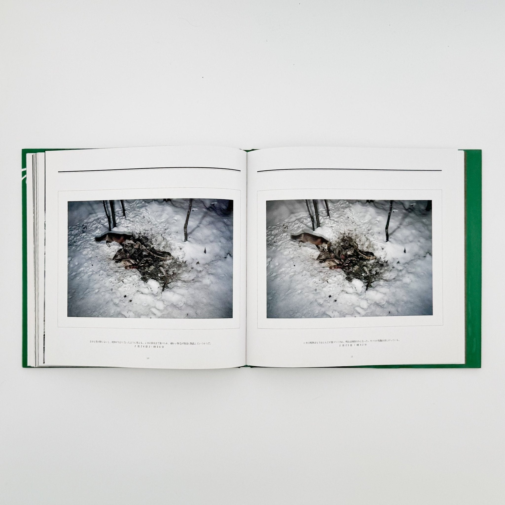 Miyazaki Manabu Photo Book: Death in Nature / Heibonsha – 文福