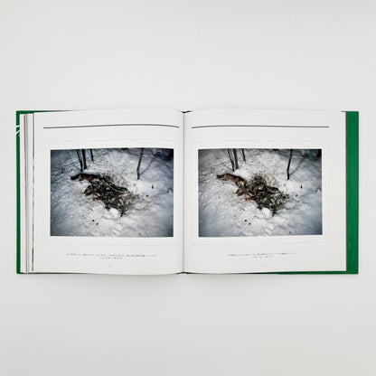 宮崎学　死　Death in Nature - 平凡社 - 文福