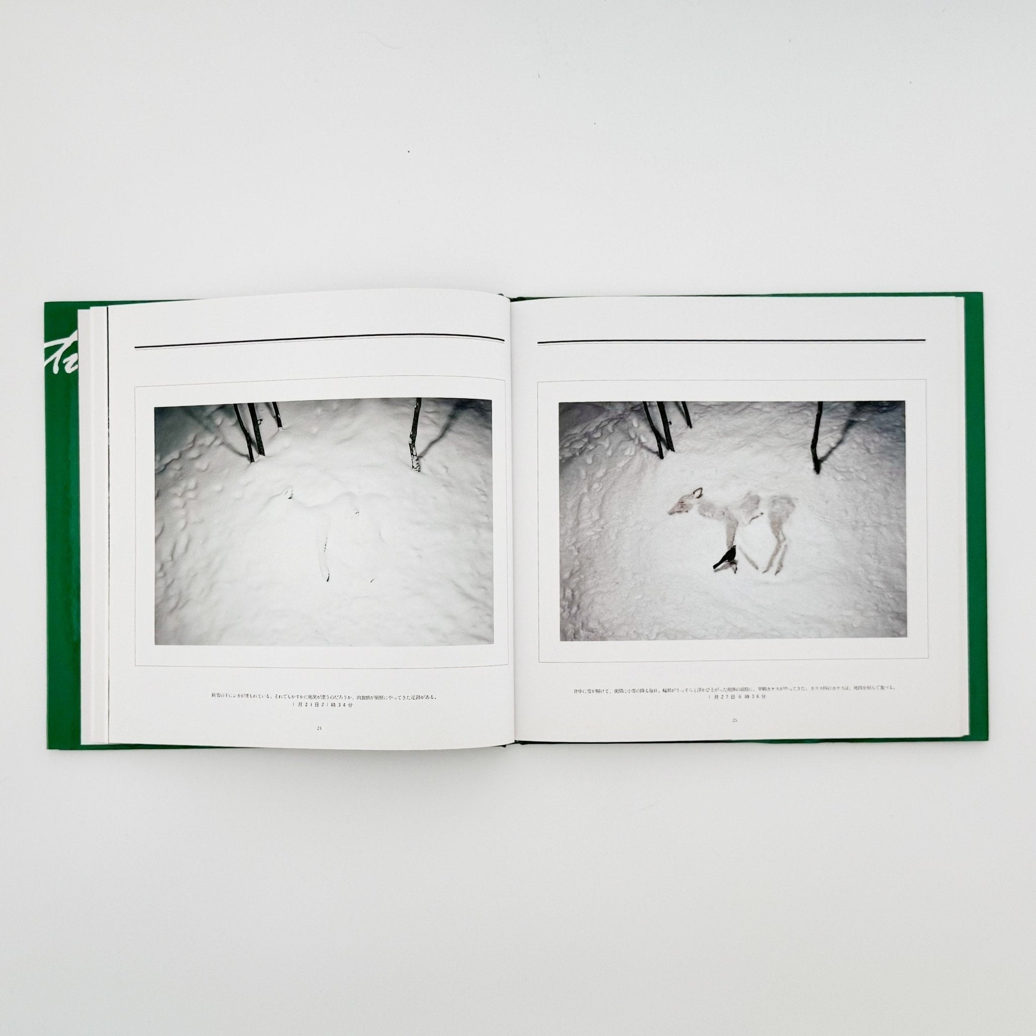 Miyazaki Manabu Photo Book: Death in Nature / Heibonsha – 文福