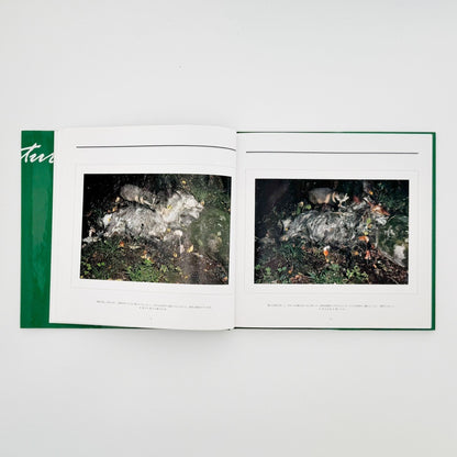 宮崎学　死　Death in Nature - 平凡社 - 文福