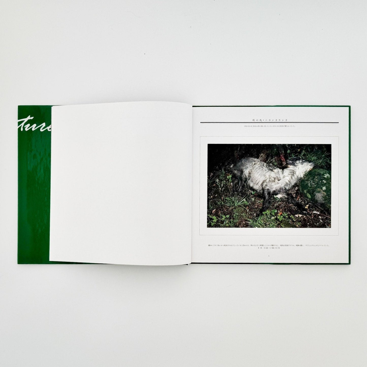 宮崎学　死　Death in Nature - 平凡社 - 文福