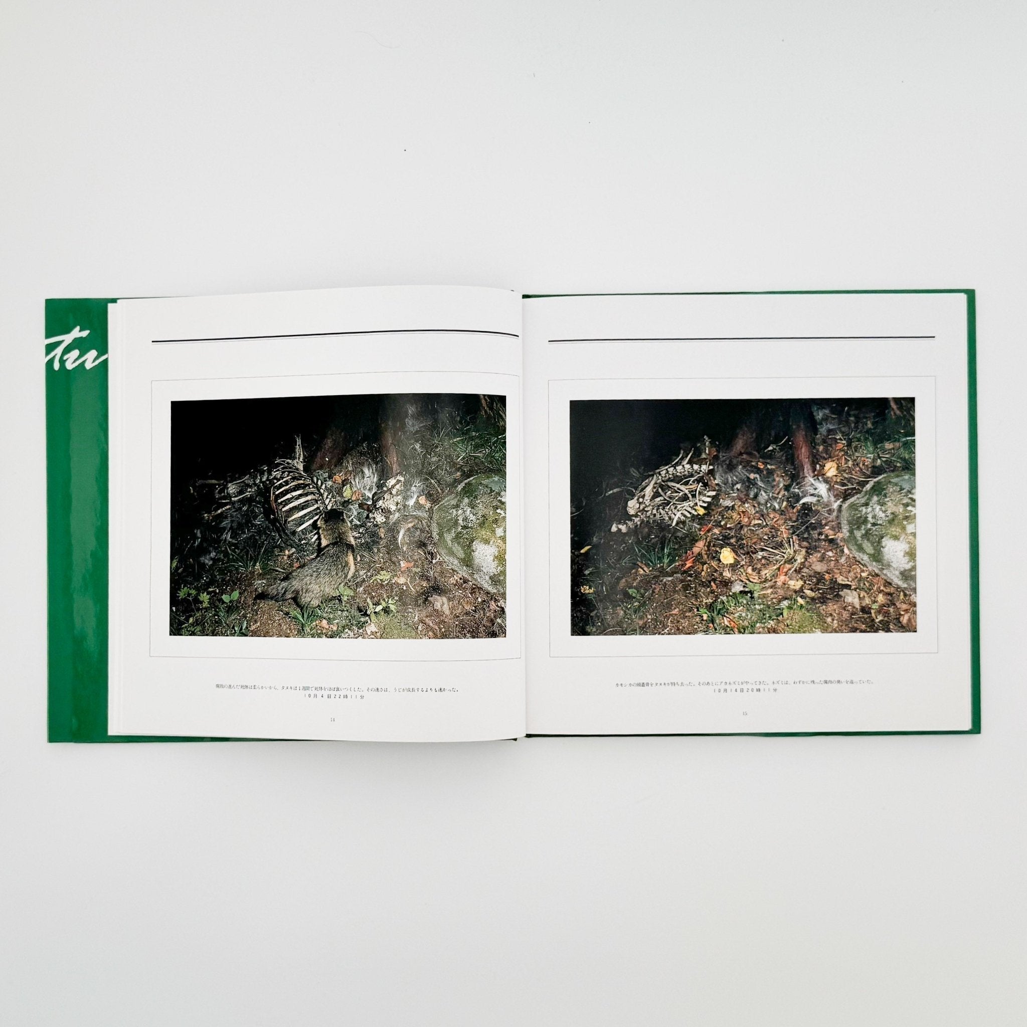 死 宮崎学 写真集 Death in nature 初版 Miyazaki Manabu Photo Book: Death in Nature / Heibonsha – 文福