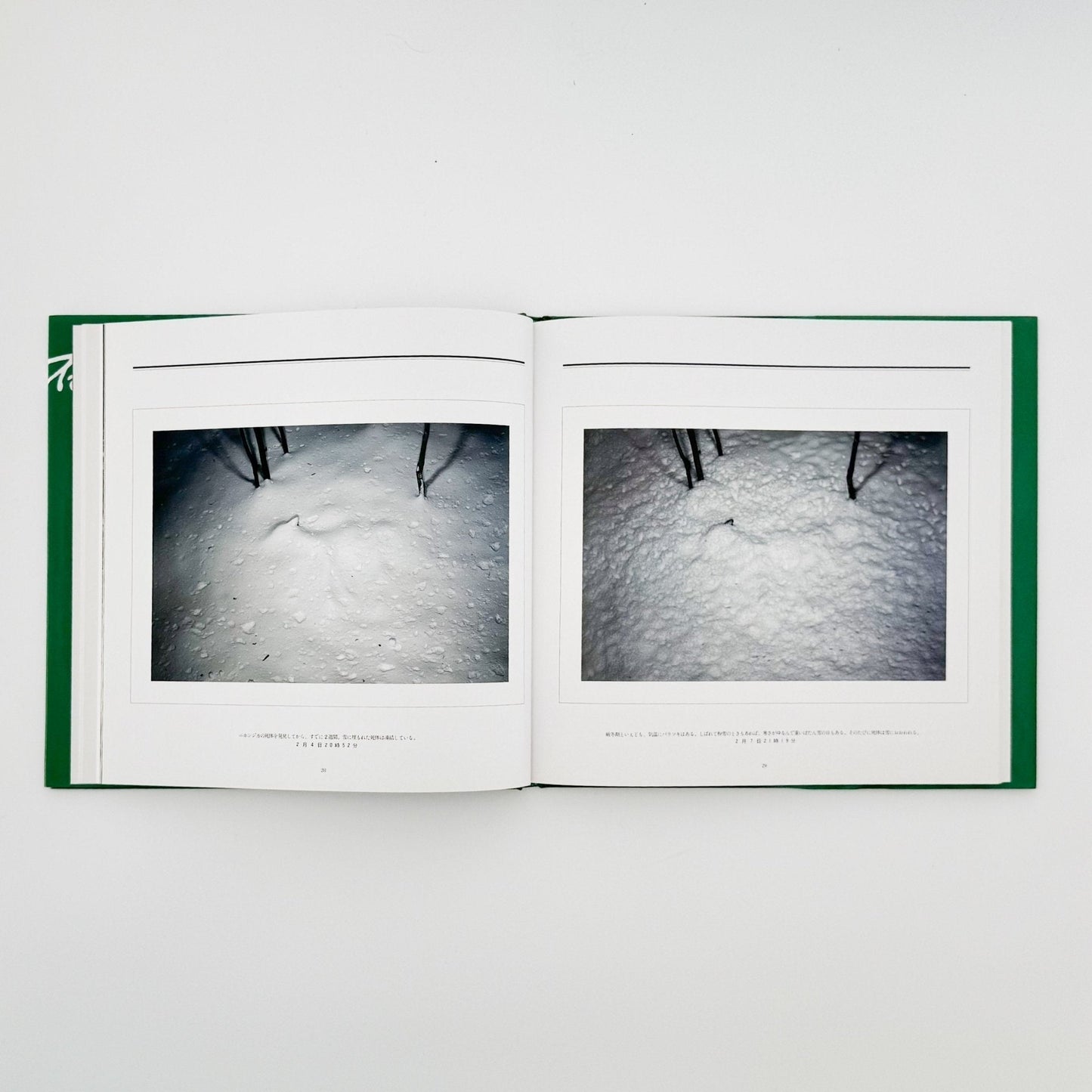 宮崎学　死　Death in Nature - 平凡社 - 文福