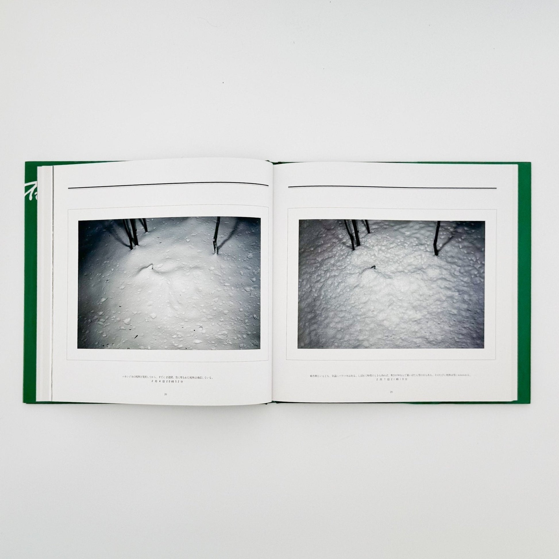 宮崎学　死　Death in Nature - 平凡社 - 文福