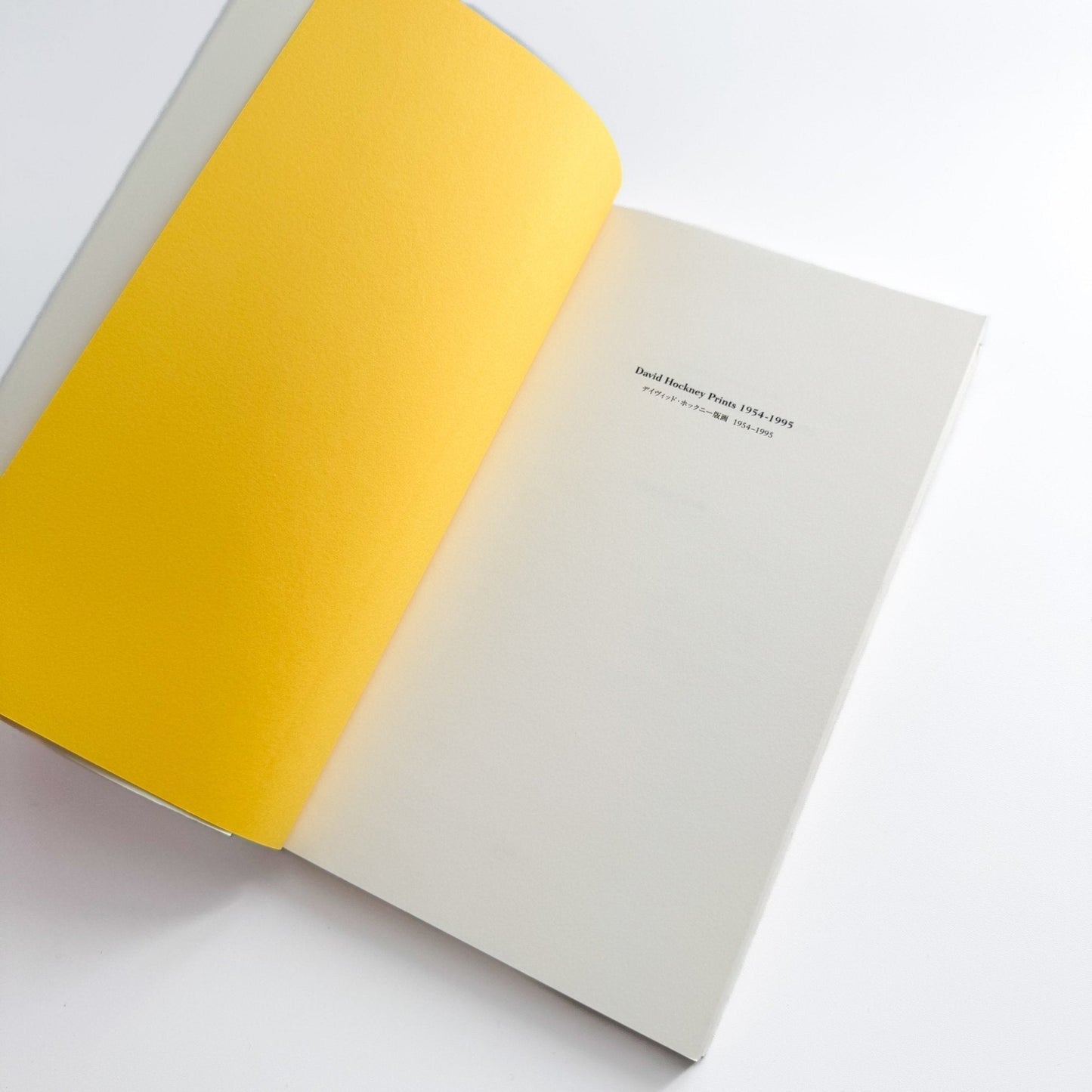 デイヴィッド・ホックニー版画 : 1954 - 1995 - 淡交社 - 文福