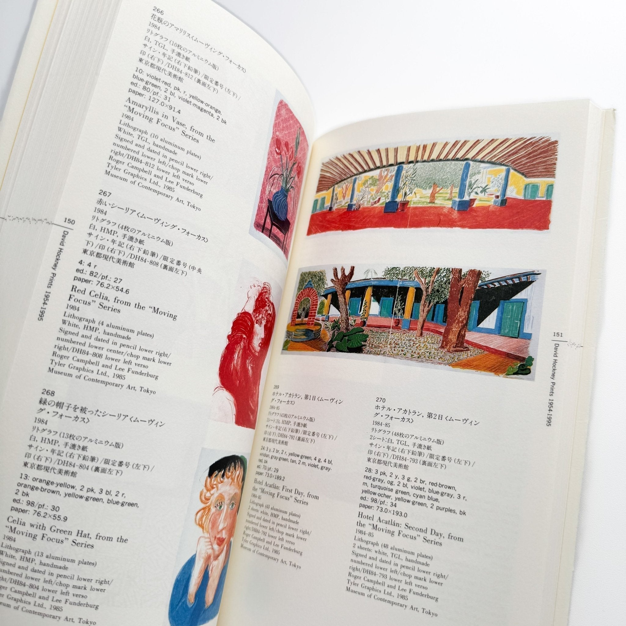 David Hockney prints: 1954-1995 / Tankosha – 文福
