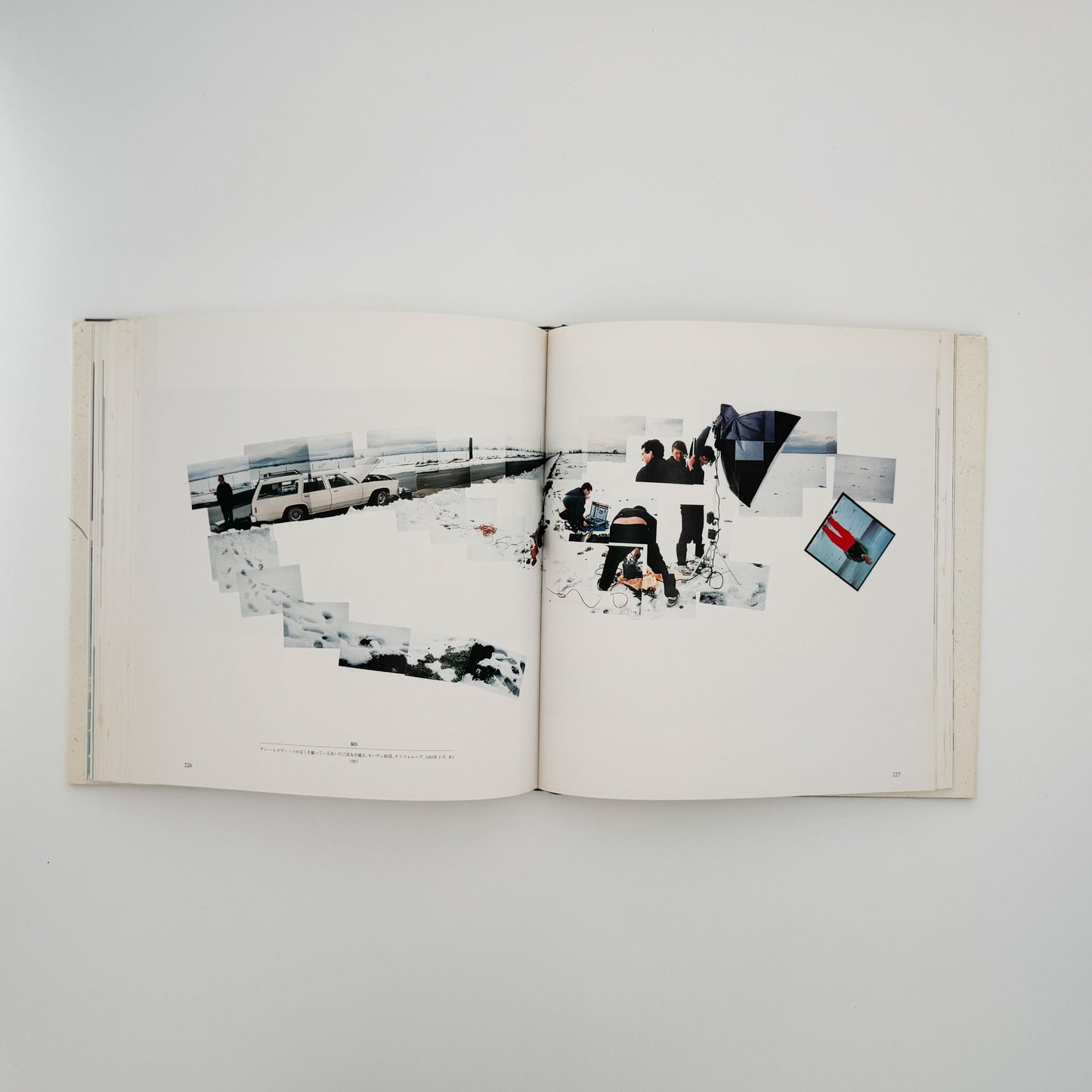 デヴィッド・ホックニー　ホックニー画集　ひとつの回顧 リブロポート