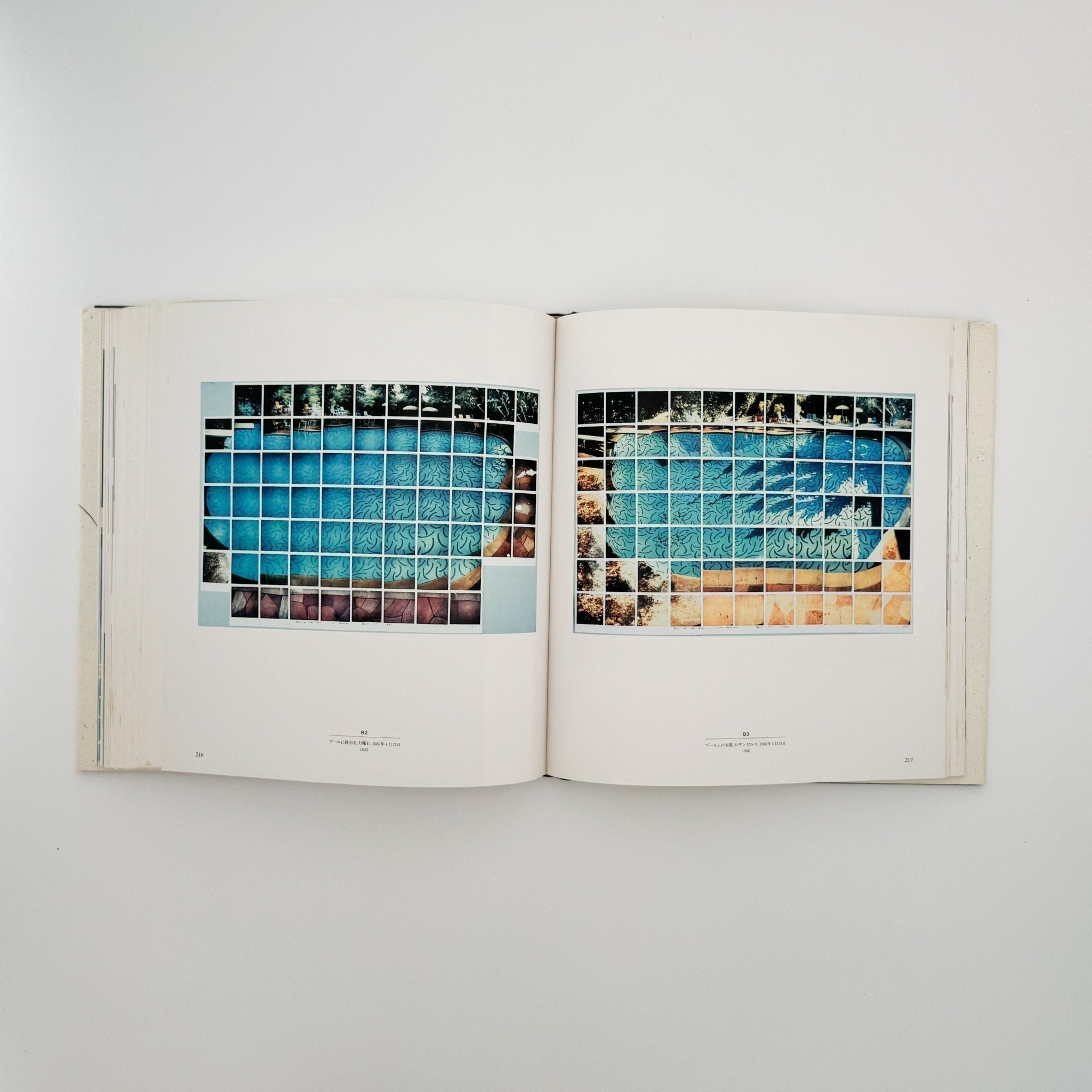 David HOCKNEY : ホックニー画集 ひとつの回顧｜文福 BUNBUKU