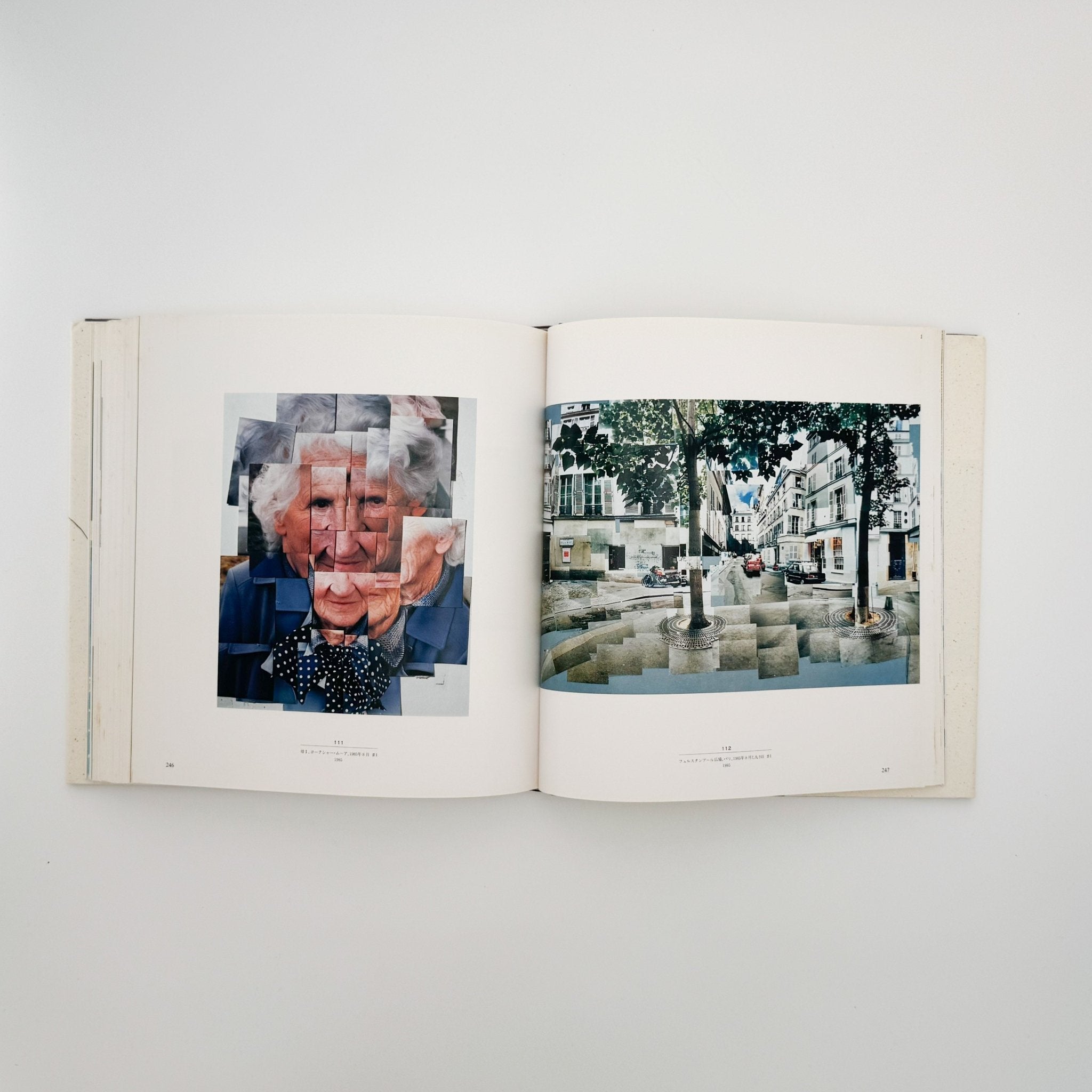David HOCKNEY : ホックニー画集 ひとつの回顧｜文福 BUNBUKU