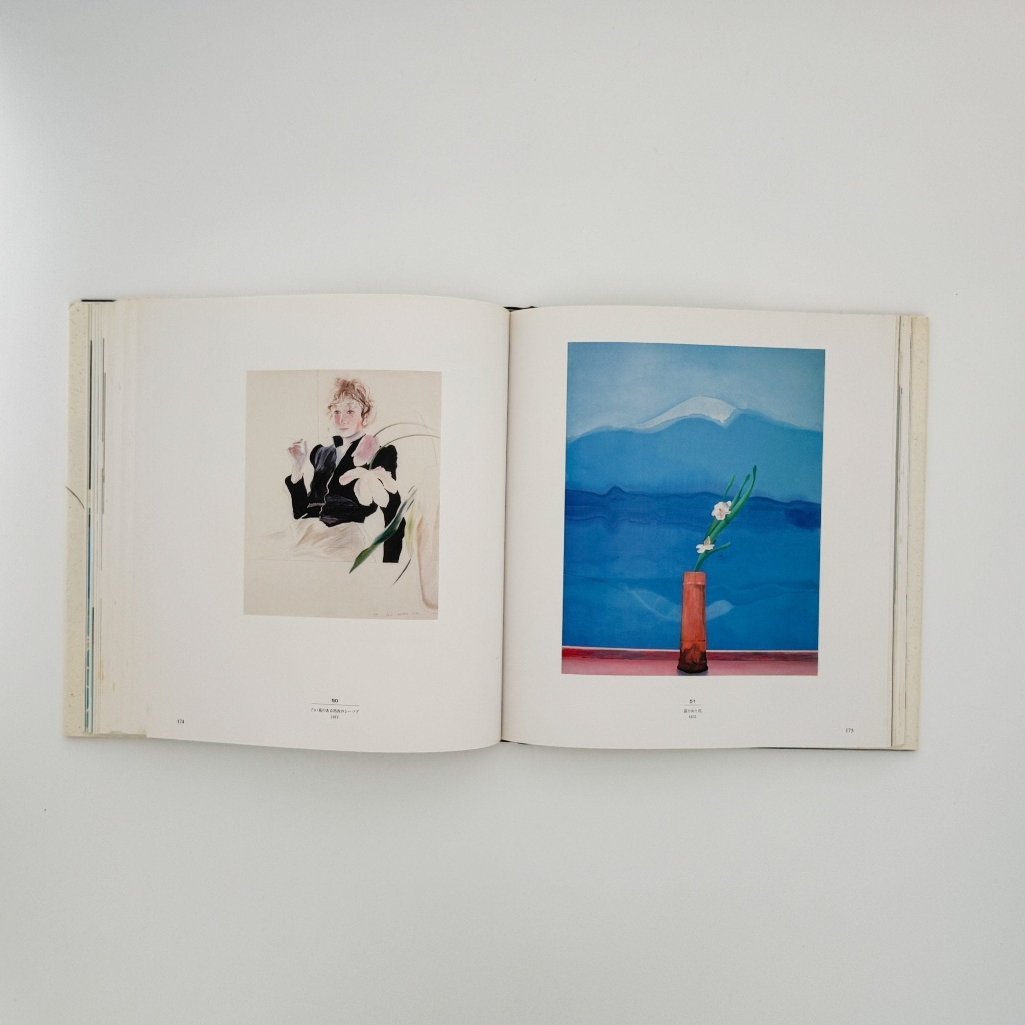 David HOCKNEY : ホックニー画集 ひとつの回顧｜文福 BUNBUKU