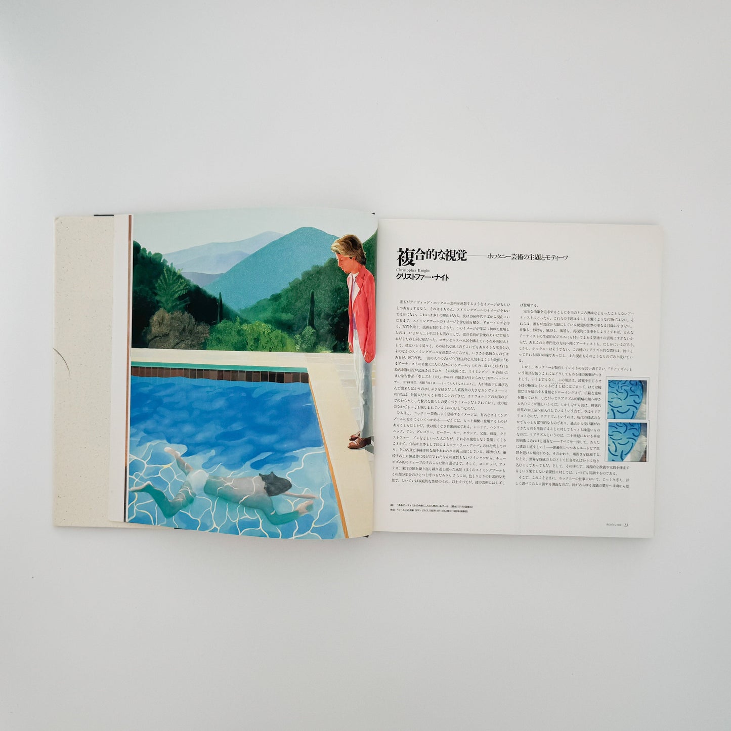 デヴィッド・ホックニー　ホックニー画集　ひとつの回顧 リブロポート