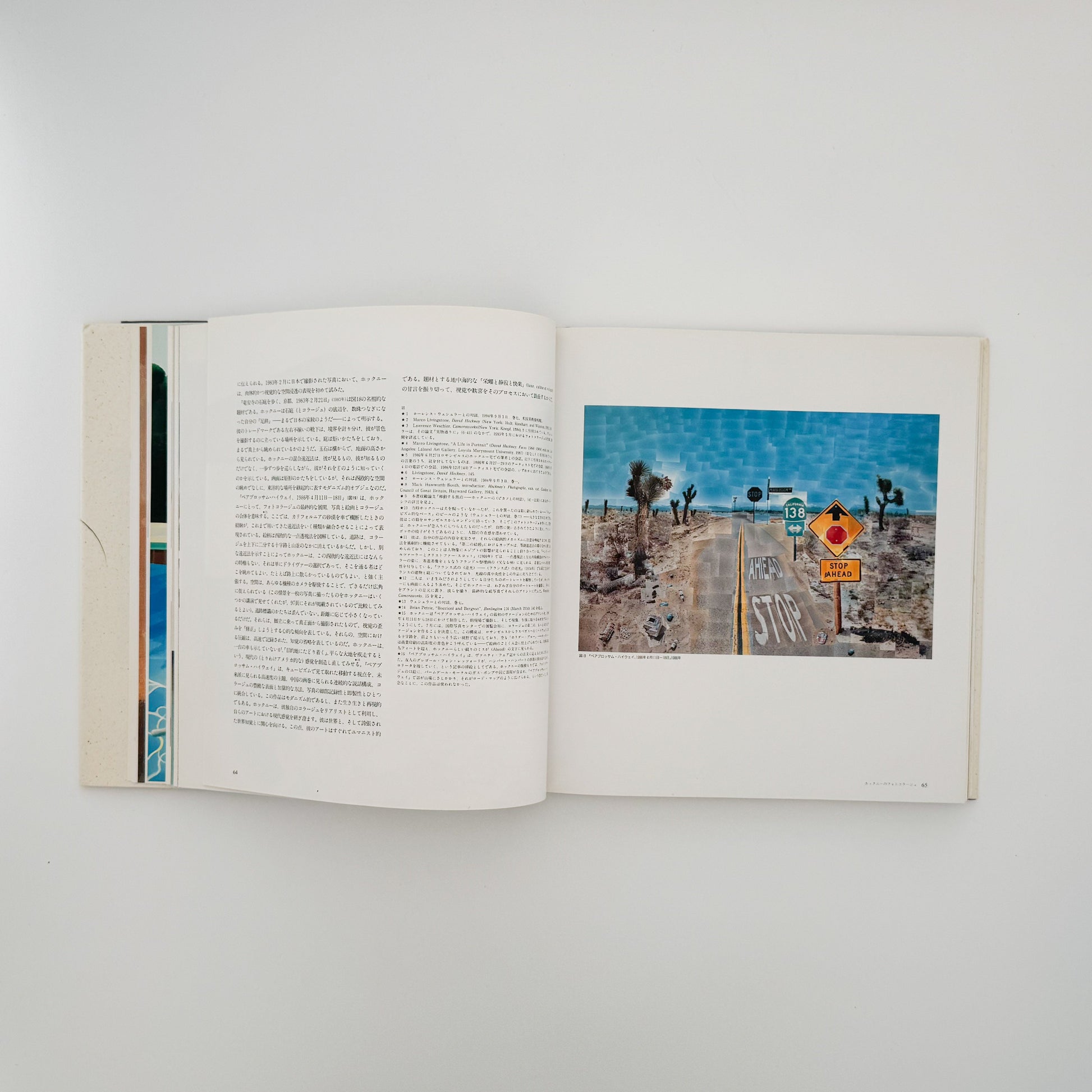 デヴィッド・ホックニー　ホックニー画集　ひとつの回顧 リブロポート