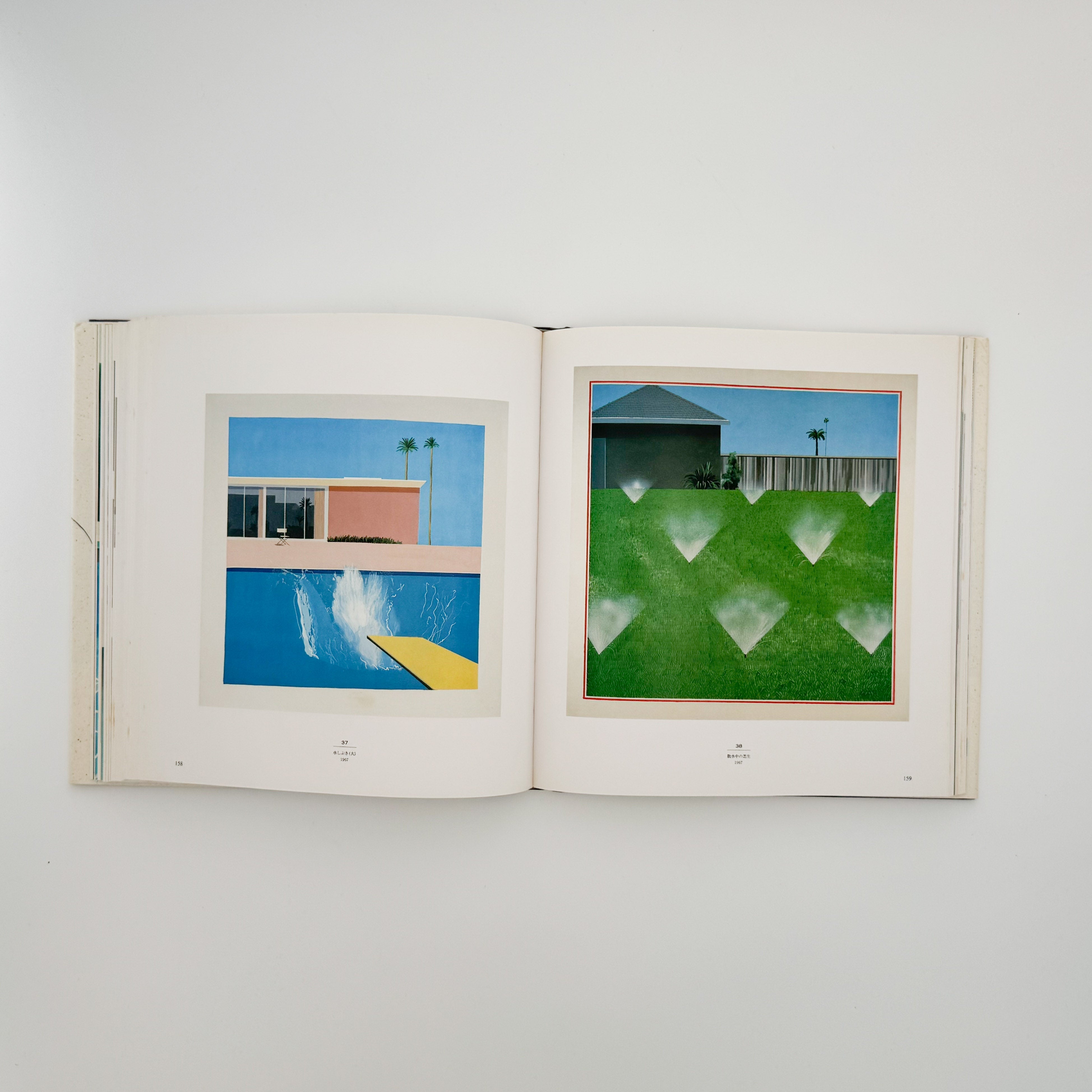 デヴィッド・ホックニー ホックニー画集 ひとつの回顧 – 文福