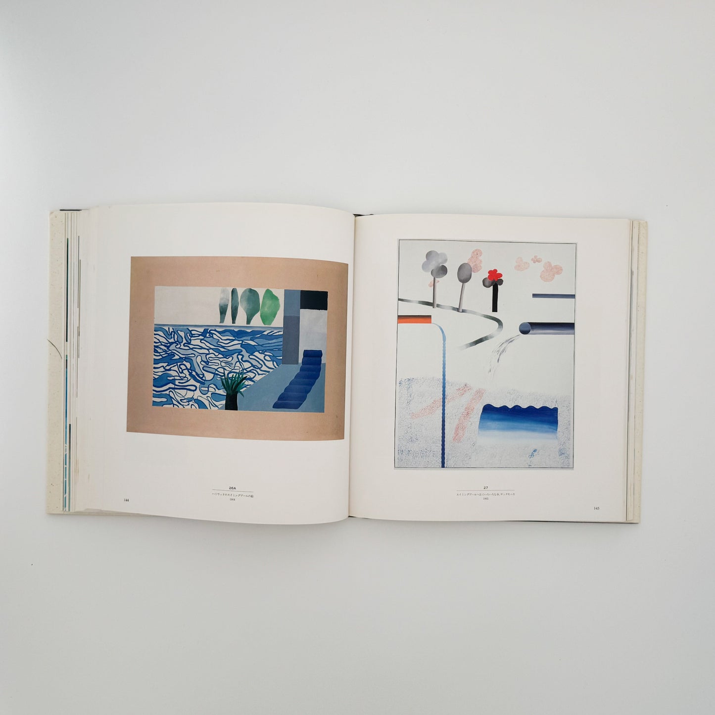 デヴィッド・ホックニー　ホックニー画集　ひとつの回顧 リブロポート