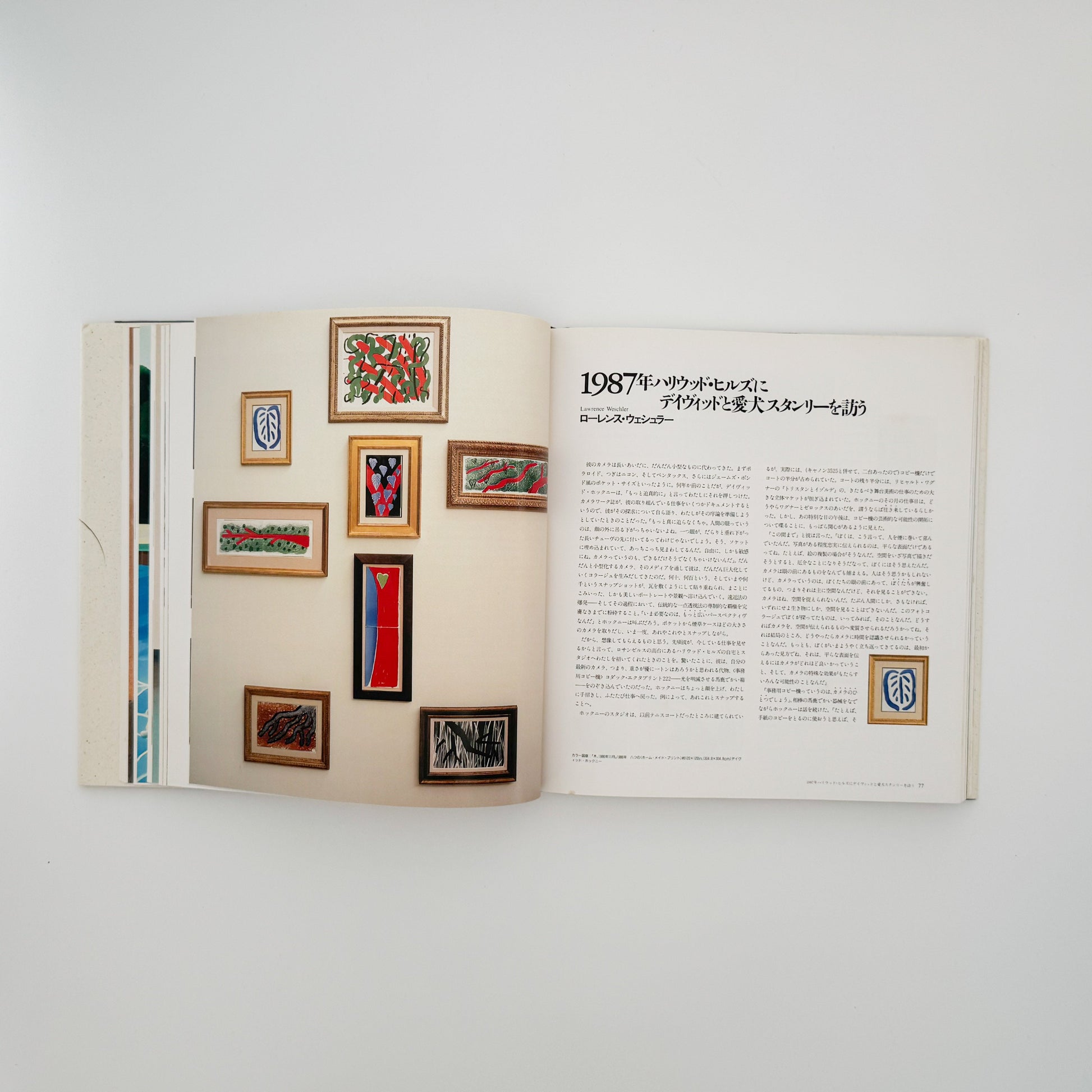 デヴィッド・ホックニー　ホックニー画集　ひとつの回顧 リブロポート