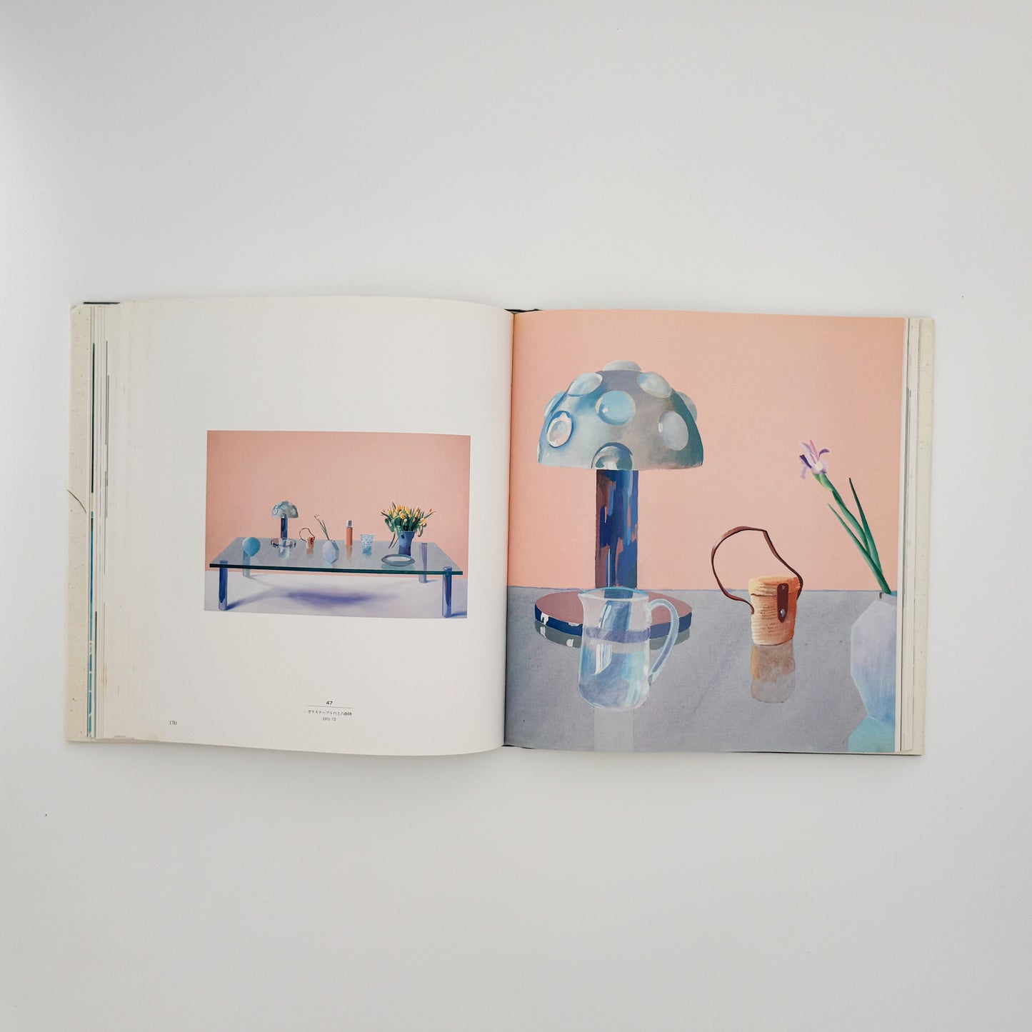 デヴィッド・ホックニー　ホックニー画集　ひとつの回顧 リブロポート