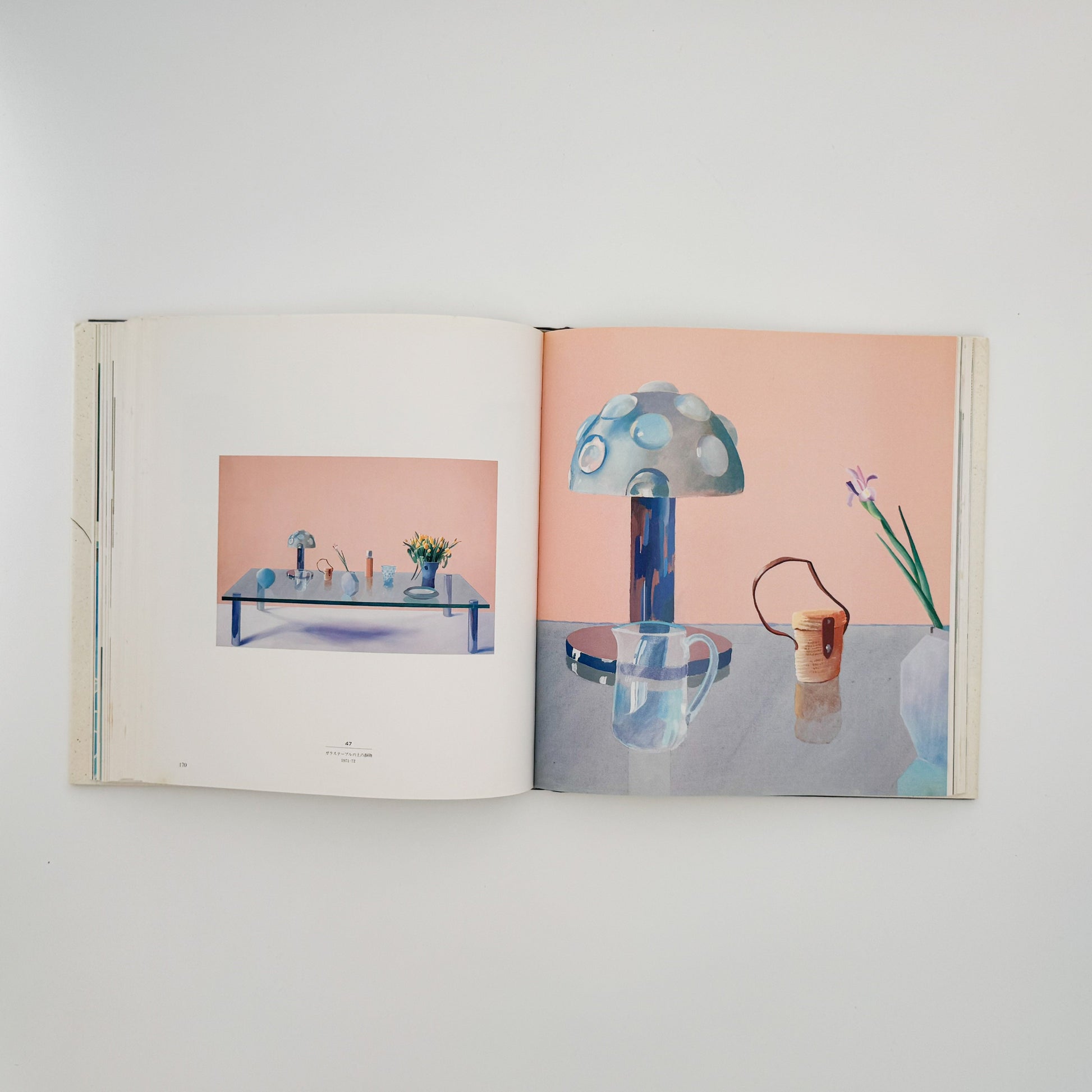 デヴィッド・ホックニー　ホックニー画集　ひとつの回顧 リブロポート