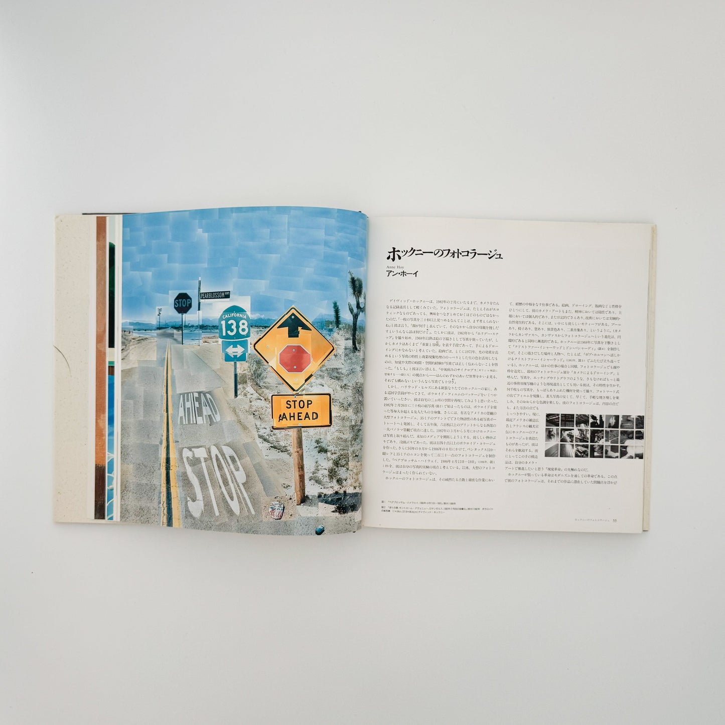 デヴィッド・ホックニー　ホックニー画集　ひとつの回顧 リブロポート