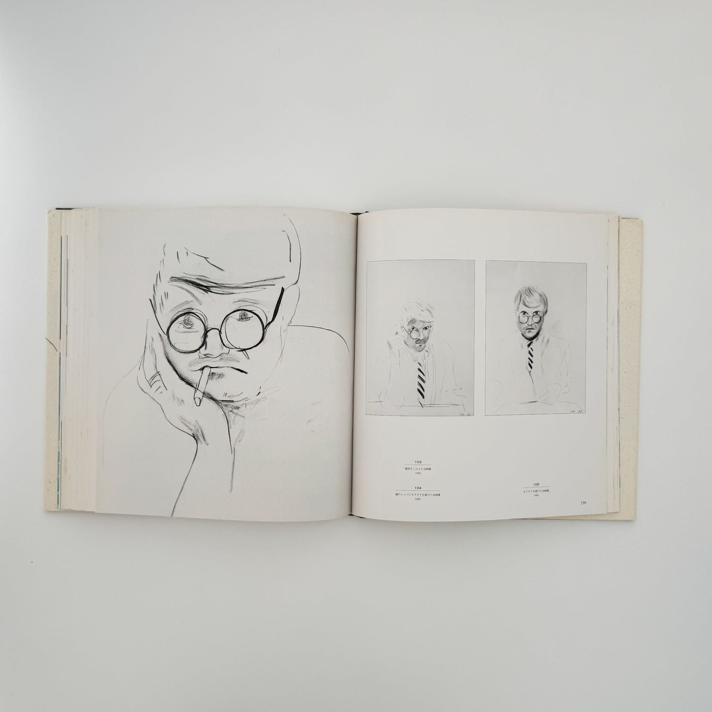 デヴィッド・ホックニー　ホックニー画集　ひとつの回顧 リブロポート