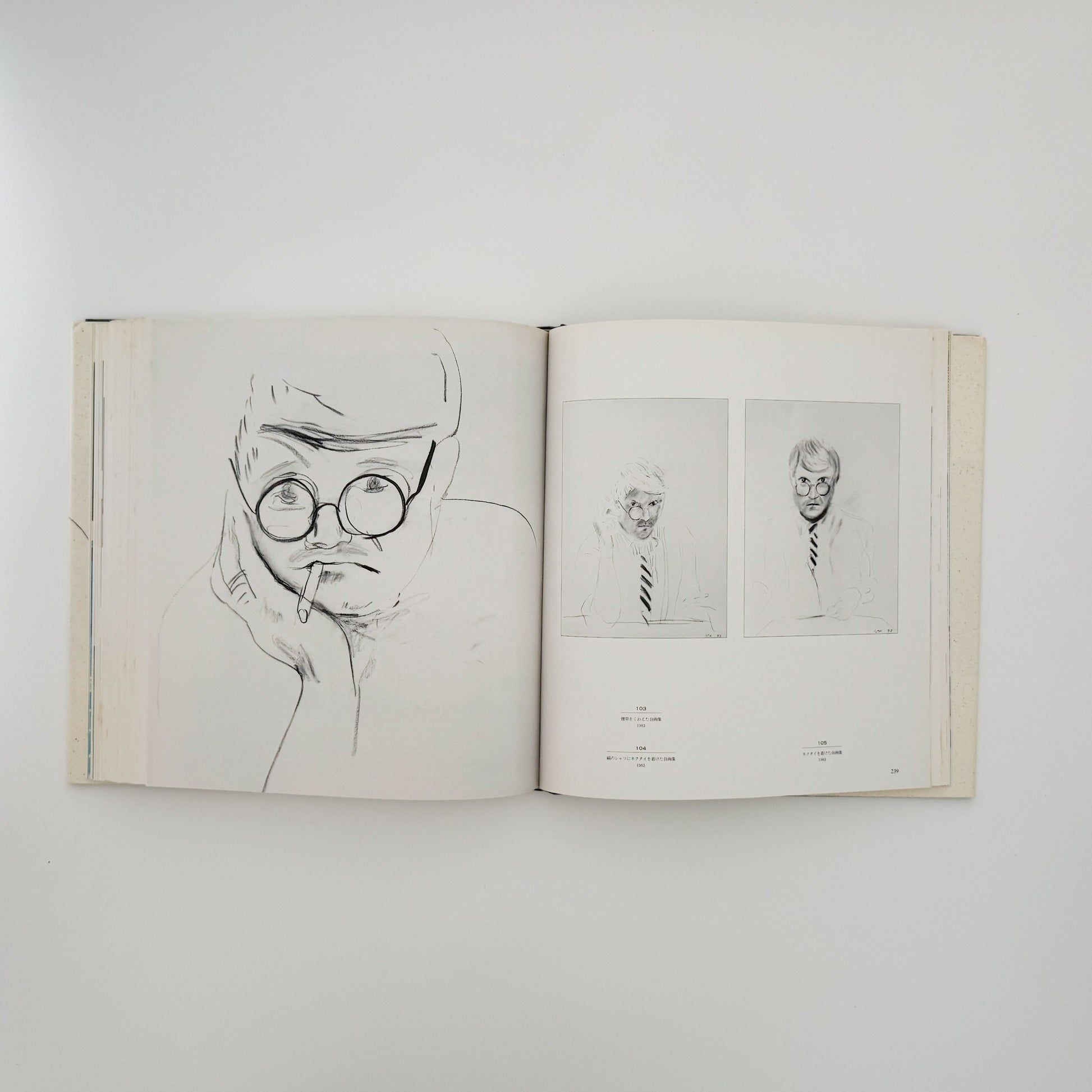 デヴィッド・ホックニー　ホックニー画集　ひとつの回顧 リブロポート