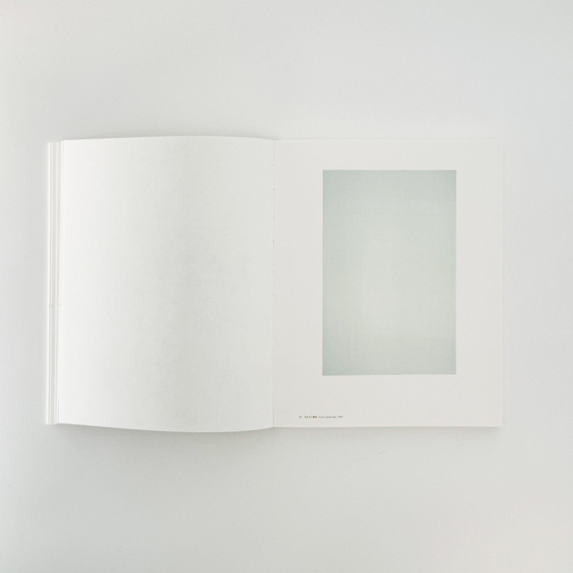 西川勝人　静寂の響き　展覧会図録 DIC川村記念美術館 - torch press - 文福